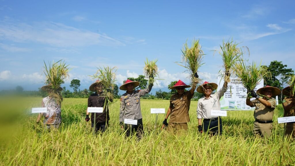 Kisah Sukses Kelompok Tani Binaan Biowin: Panen Lebih Melimpah, Biaya Hemat, Tanah Lebih Sehat dengan Pupuk Organik Biowin Artikel 3 Kita Sukses Kelompok Tani Binaan Biowin Panen Lebih Melimpah Biaya Hemat Tanah Lebih Sehat Dengan Pupuk Organik Biowin 1024x576