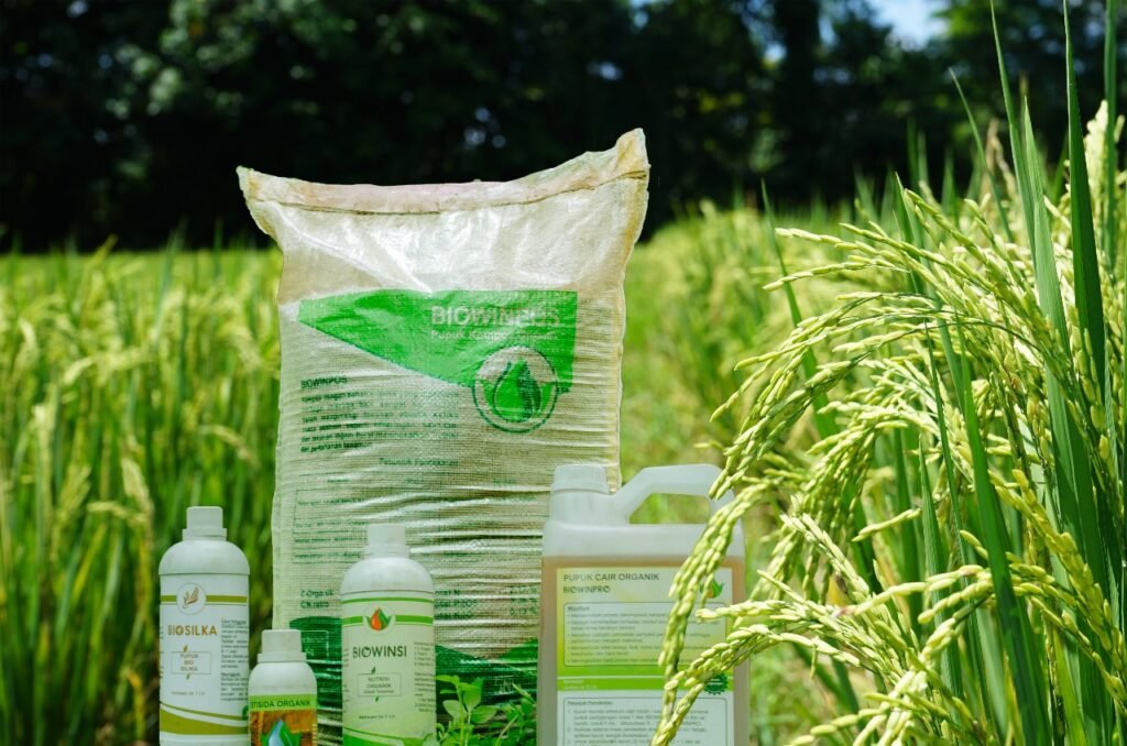 Cara Menggunakan Pupuk Organik Biowin yang Efektif pada Padi Biowin Background Padi 1024x678