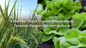 Artikel Desember 1