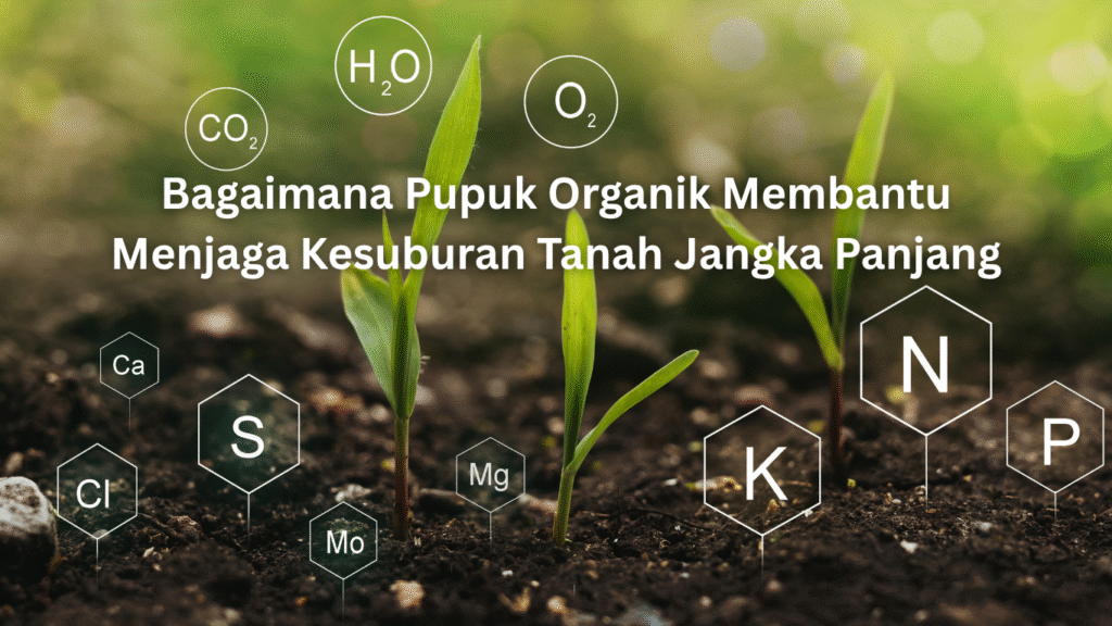 Artikel Desember 2 1024x576