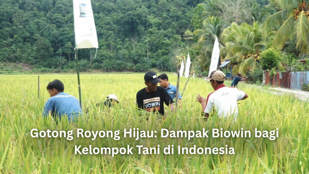 Artikel Desember 3 1024x576