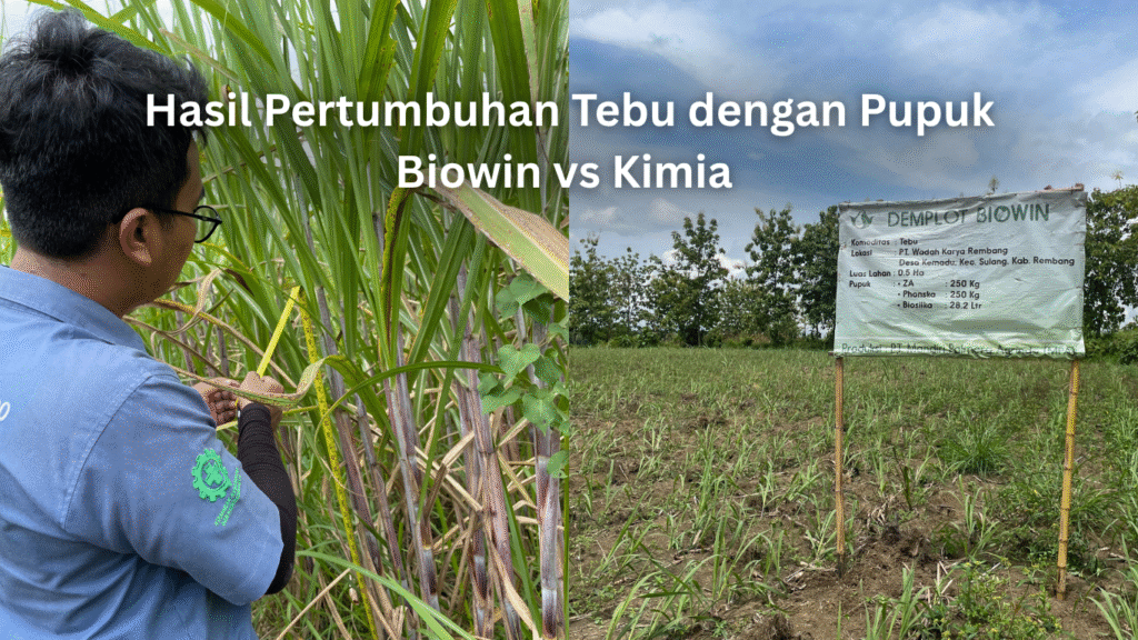 Artikel Desember 4 1024x576