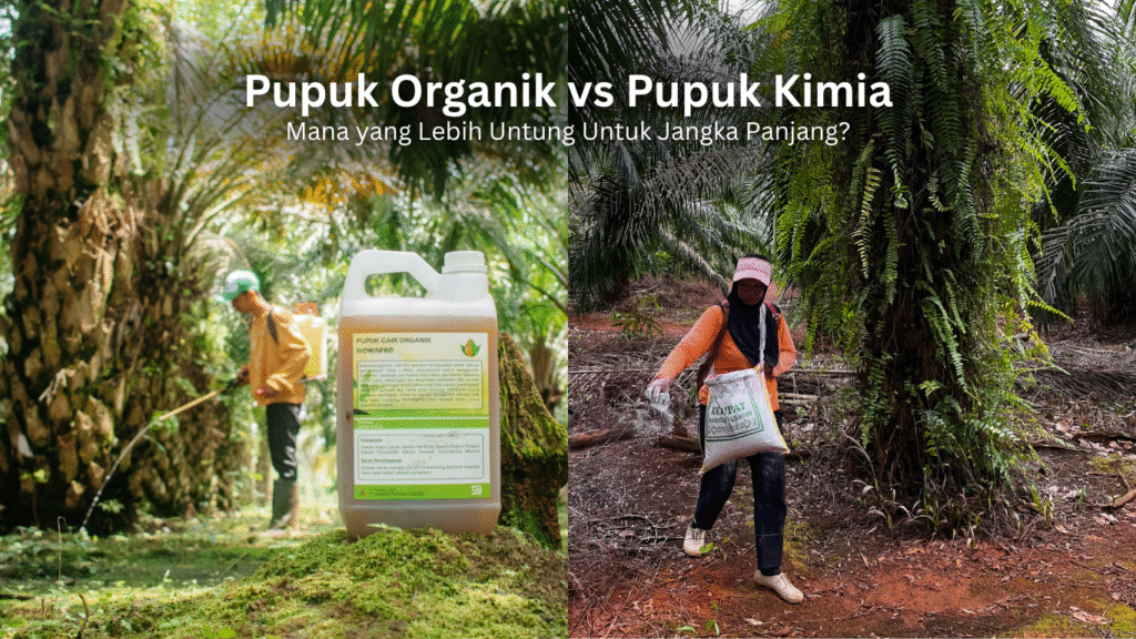 Perbedaan Pupuk Organik vs Pupuk Kimia: Mana yang Lebih Untung untuk Jangka Panjang? Artikel November 1 1024x576