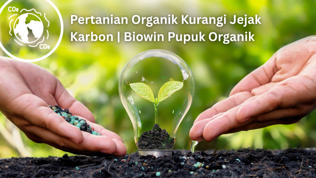 Pertanian Organik Kurangi Jejak Karbon | Biowin Pupuk Organik Artikel November 2 1 1024x576