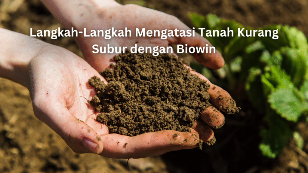 Artikel Website 5 1024x576