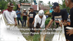 artikel website 3