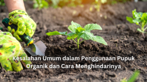 artikel website 5