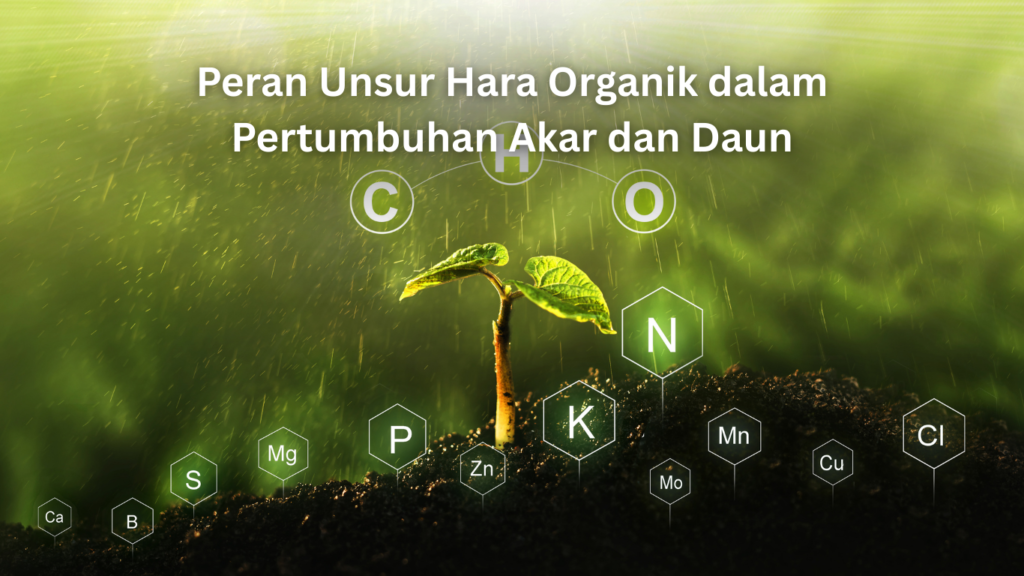 Peran Unsur Hara Organik dalam Pertumbuhan Akar dan Daun artikel website 1