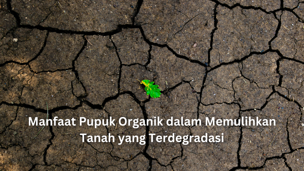 Manfaat Pupuk Organik dalam Memulihkan Tanah yang Terdegradasi artikel website 2