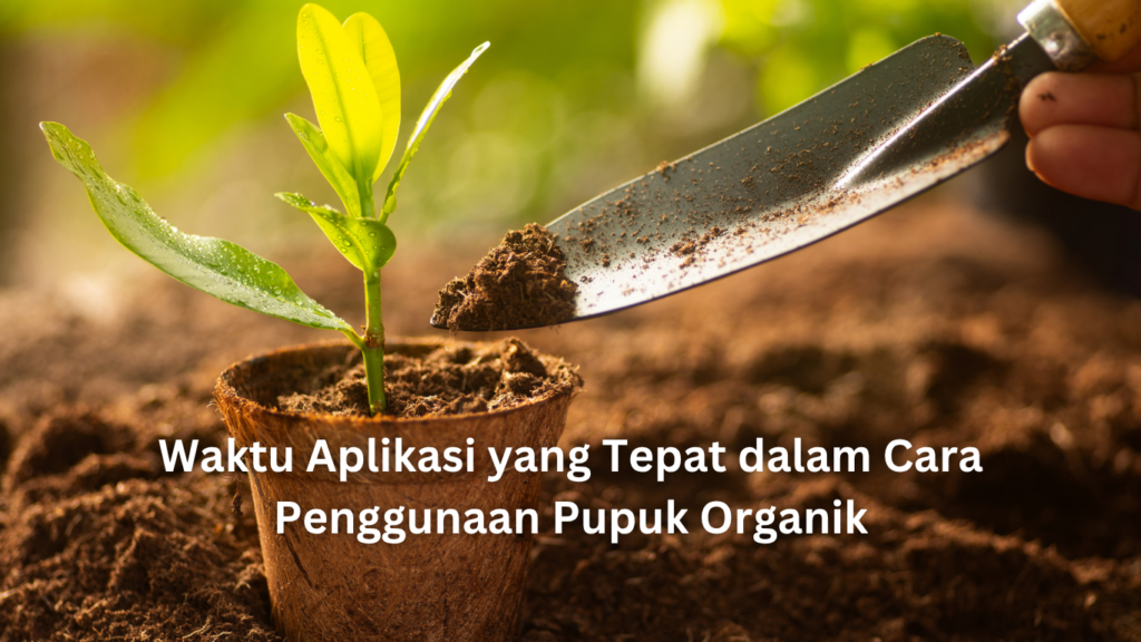 Waktu Aplikasi yang Tepat dalam Cara Penggunaan Pupuk Organik artikel website 1