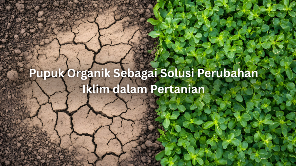 Pupuk Organik sebagai Solusi Perubahan Iklim dalam Pertanian artikel website 2