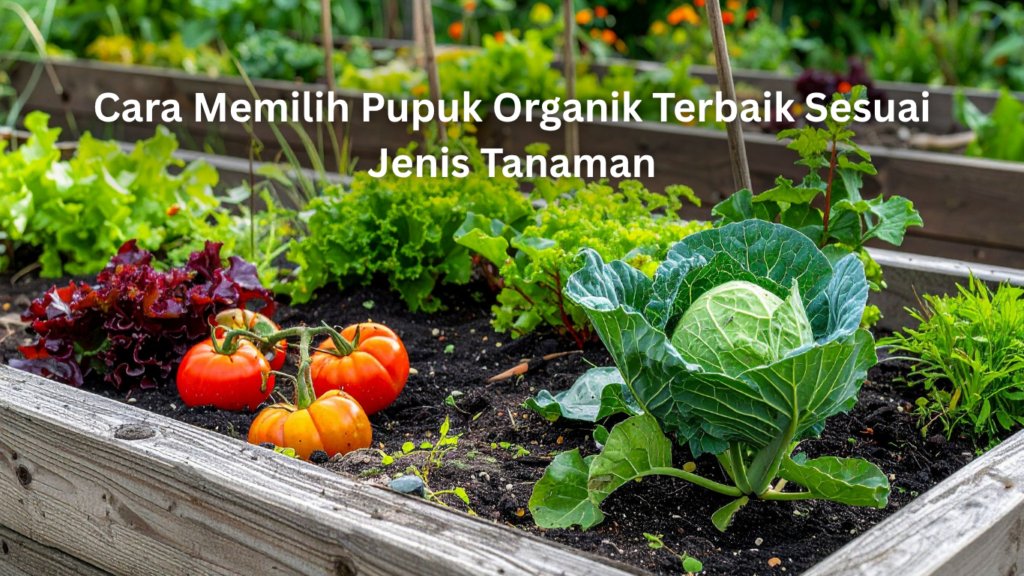 Cara Memilih Pupuk Organik Terbaik Sesuai Jenis Tanaman artikel website 5(1)