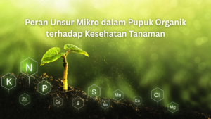 artikel website 1 (1)