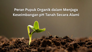 artikel website 2 (1)