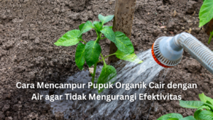 artikel website 5 (1)