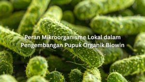 artikel website apr 4