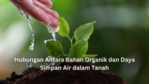hubungan antara bahan organik dan daya simpan air dalam tanah