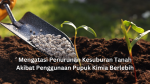 mengatasi penurunan kesuburan tanah akibat penggunaan pupuk kimia berlebih