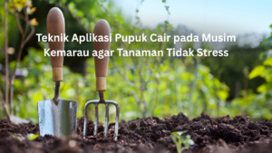 teknik aplikasi pupuk cair pada musim kemarau agar tanaman tidak stress