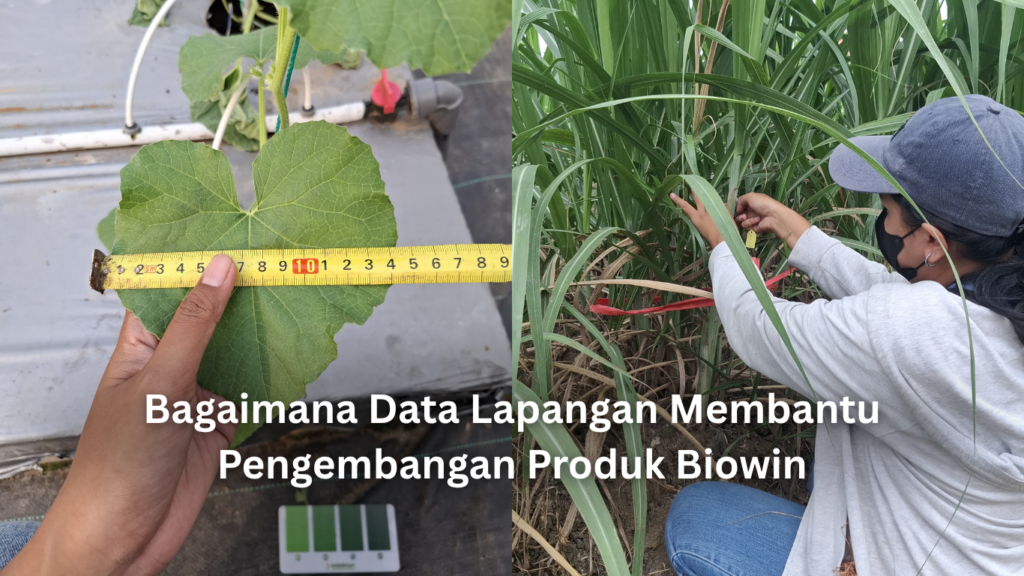bagaimana data lapangan membantu pengembangan produk biowin