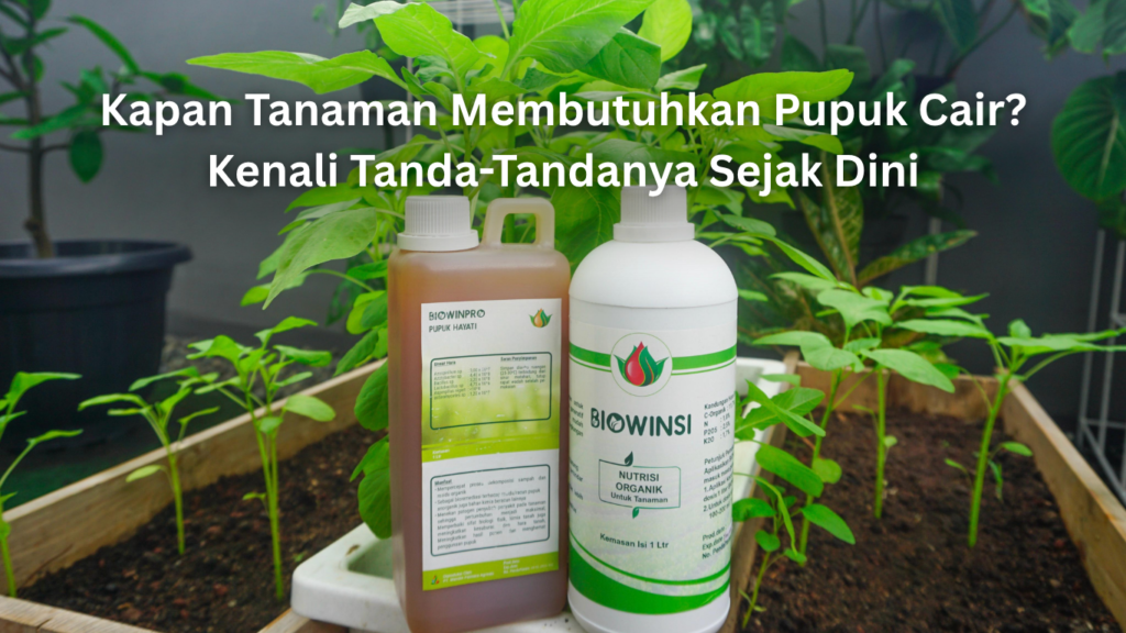 kapan tanaman membutuhkan pupuk cair kenali tanda tandanya sejak dini