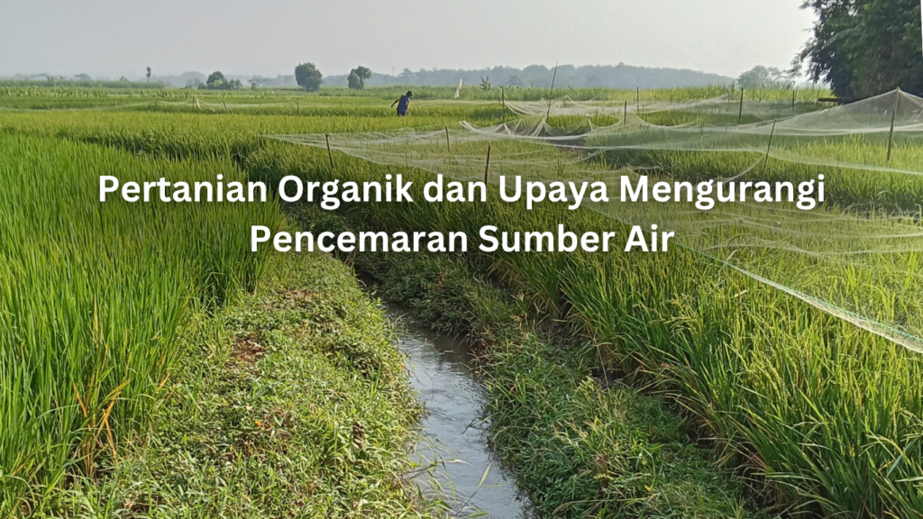 pertanian organik dan upaya mengurangi pencemaran sumber air