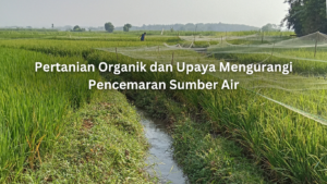 pertanian organik dan upaya mengurangi pencemaran sumber air