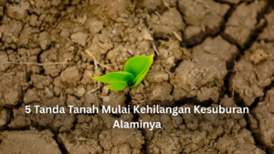 5 tanda tanah mulai kehilangan kesuburan alaminya