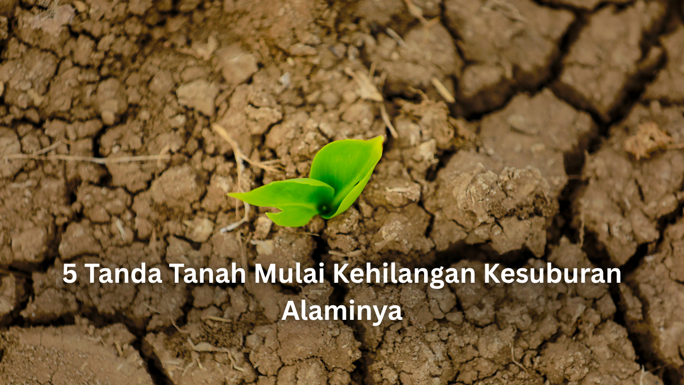 5 tanda tanah mulai kehilangan kesuburan alaminya