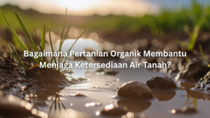 bagaimana pertanian organik membantu menjaga ketersediaan air tanah