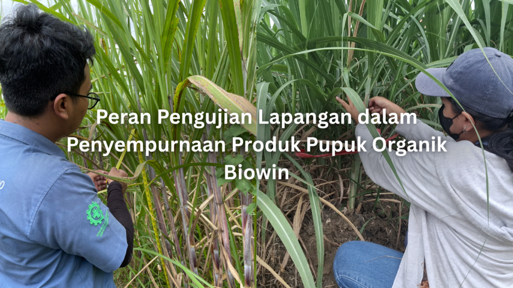 peran pengujian lapangan dalam penyempurnaan produk pupuk organik biowin
