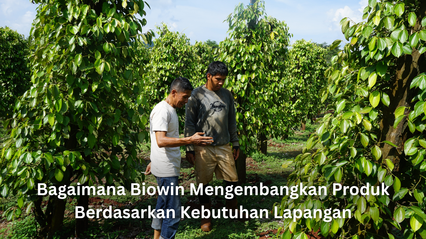 bagaimana biowin mengembangkan produk berdasarkan kebutuhan lapangan